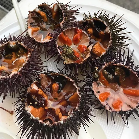 Apartamento Les Voiles De